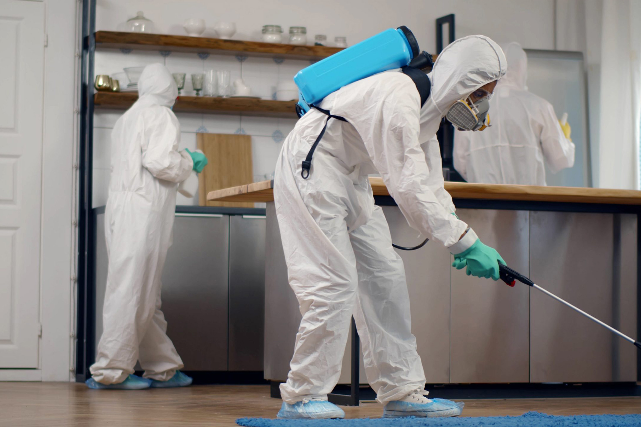 شركة مكافحة حشرات بالقصيم