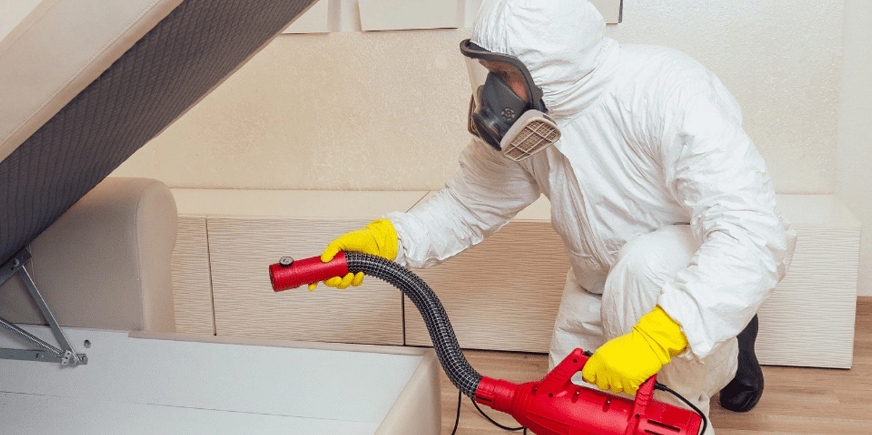 شركة مكافحة حشرات بعسفان