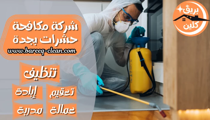 شركة مكافحة حشرات بجدة 0501533146 رش مبيدات في جدة