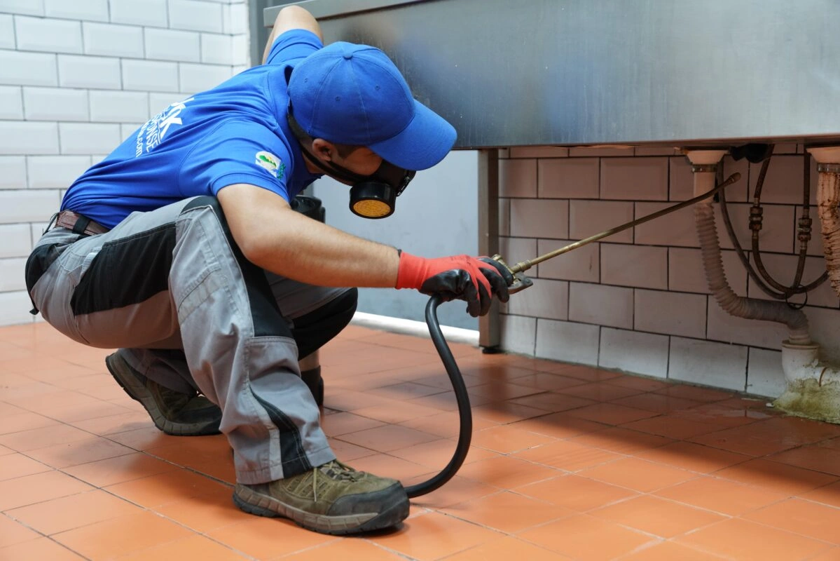 شركة مكافحة حشرات برابغ