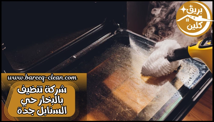 شركة تنظيف بالبخار حي السنابل